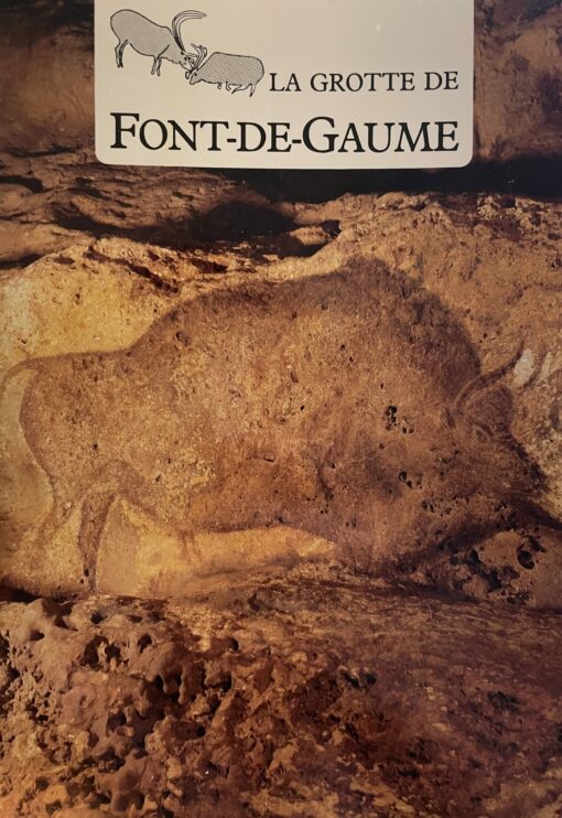 La grotte de Font-de-Gaume