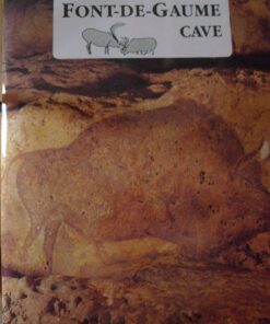 The Font-de-Gaume Cave