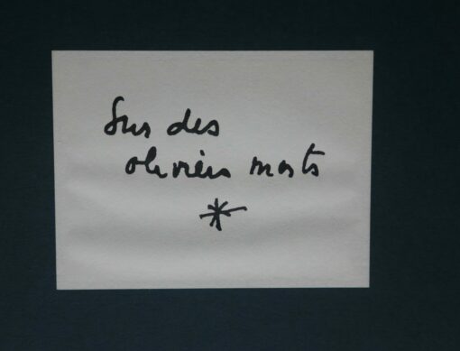 Sur des oliviers morts