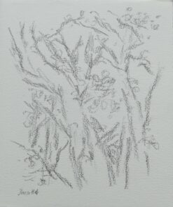 La terre de sauvegarde